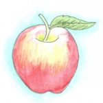 Æble