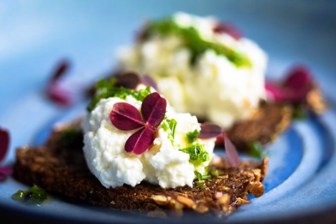 Rygeostcreme på rugbrødschips med purløgsolie