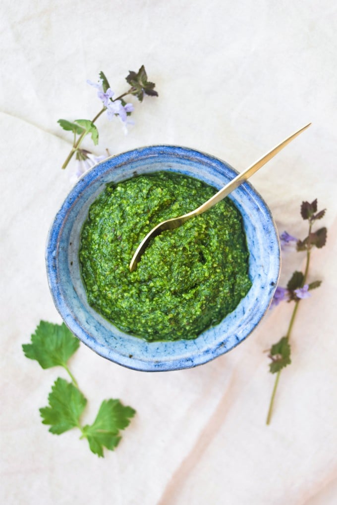 Lækker opskrift på persillepesto