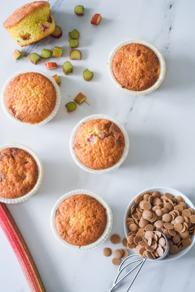 Rabarbermuffins med rabarber fra haven