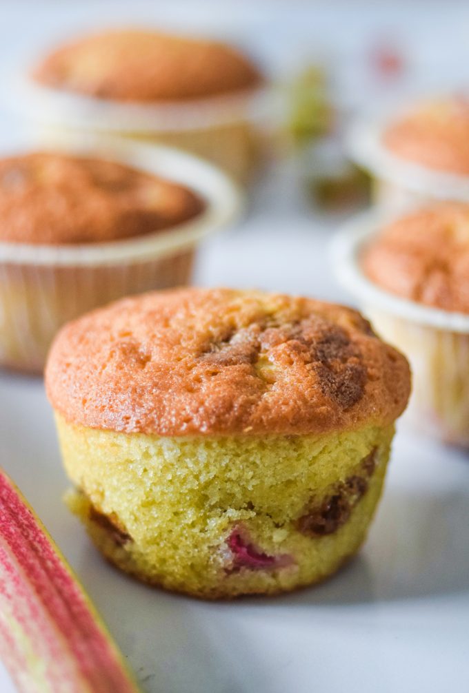 Rabarbermuffins med rabarber