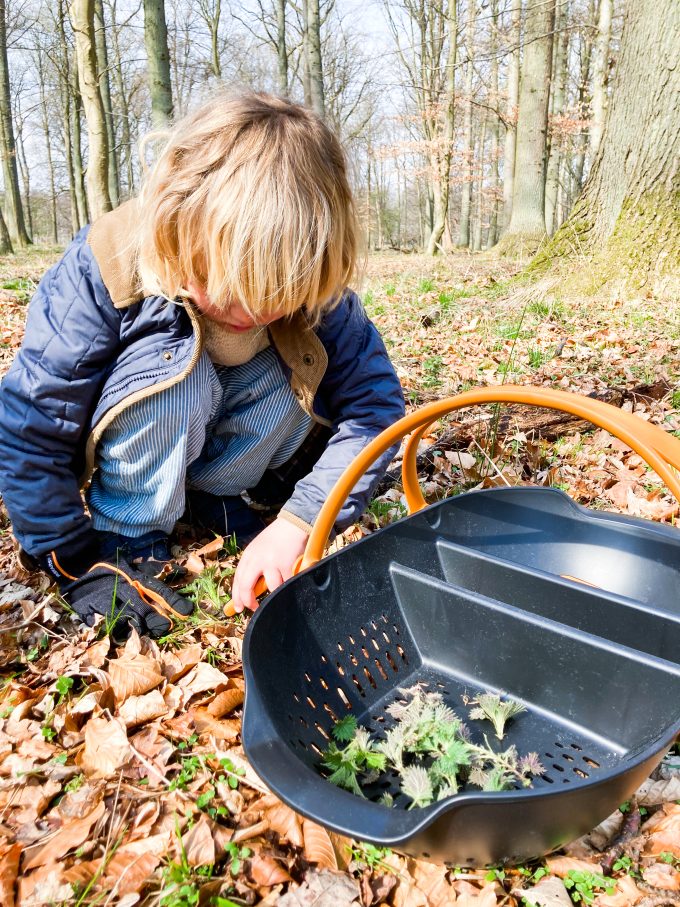 Fiskars høstkurv